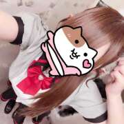 ヒメ日記 2026/04/11 11:02 投稿 ちびまる あるまぎ！