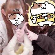 ヒメ日記 2026/05/15 08:52 投稿 ちびまる あるまぎ！