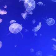 ヒメ日記 2026/05/08 12:20 投稿 【氷菓】ひょうか ドMな団地妻 名古屋・池下店