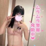 ヒメ日記 2026/03/21 23:58 投稿 えみり リアル 日本橋店