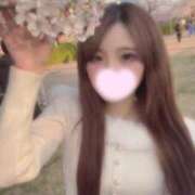 ヒメ日記 2026/04/04 19:51 投稿 えみり リアル 日本橋店