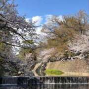 ヒメ日記 2026/04/05 21:30 投稿 すい タレント倶楽部アダルト