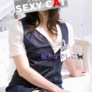 ヒメ日記 2026/05/31 13:30 投稿 柚木なでしこ セクシーキャット 神田店
