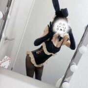 ヒメ日記 2026/04/01 07:45 投稿 もね アラモード