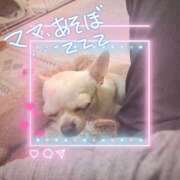 ヒメ日記 2026/03/22 17:49 投稿 ひな（人妻） Yシャツと私