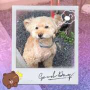 ヒメ日記 2026/04/04 10:17 投稿 ひな（人妻） Yシャツと私