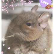 ヒメ日記 2026/04/11 22:37 投稿 ひな（人妻） Yシャツと私