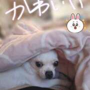 ヒメ日記 2026/04/15 08:29 投稿 ひな（人妻） Yシャツと私