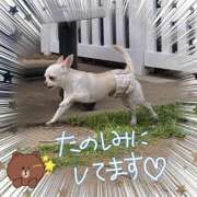 ヒメ日記 2026/04/20 07:49 投稿 ひな（人妻） Yシャツと私