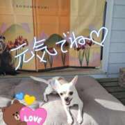 ヒメ日記 2026/04/21 06:39 投稿 ひな（人妻） Yシャツと私