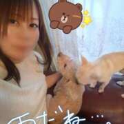 ヒメ日記 2026/06/08 08:34 投稿 ひな（人妻） Yシャツと私