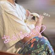 ヒメ日記 2026/06/13 04:43 投稿 ひな（人妻） Yシャツと私