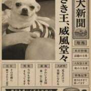 ヒメ日記 2026/06/29 20:42 投稿 ひな（人妻） Yシャツと私