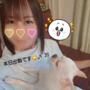 ヒメ日記 2026/07/01 08:28 投稿 ひな（人妻） Yシャツと私