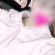 ヒメ日記 2026/03/23 14:39 投稿 ゆうか 折り紙 ORIGAMI