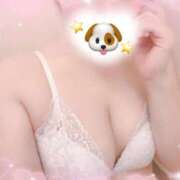 ヒメ日記 2026/03/25 20:04 投稿 よつば サティアンまーと