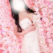 ヒメ日記 2026/04/18 07:01 投稿 ゆり The White