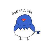ヒメ日記 2026/08/09 07:01 投稿 つばめ コンカフェ×オナクラ あいこねくと