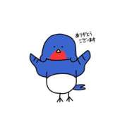 ヒメ日記 2026/08/14 07:15 投稿 つばめ コンカフェ×オナクラ あいこねくと