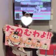 ヒメ日記 2026/08/15 18:48 投稿 つばめ コンカフェ×オナクラ あいこねくと