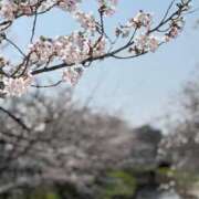 ヒメ日記 2026/03/29 06:27 投稿 ありす【新人割】 素人系イメージSOAP彼女感大宮館