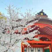 ヒメ日記 2026/04/03 21:08 投稿 小春　みゆ プルプル京都性感エステ　はんなり