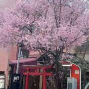 ヒメ日記 2026/04/02 23:02 投稿 ありす 宮城♂風俗の神様 仙台店