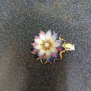 ヒメ日記 2026/04/01 14:11 投稿 小沼千秋 五十路マダム 沼津店(カサブランカグループ)