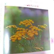 ヒメ日記 2026/08/12 18:17 投稿 小沼千秋 五十路マダム 沼津店(カサブランカグループ)