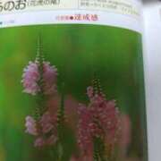 ヒメ日記 2026/08/19 18:01 投稿 小沼千秋 五十路マダム 沼津店(カサブランカグループ)