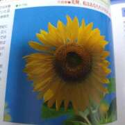 ヒメ日記 2026/08/31 17:03 投稿 小沼千秋 五十路マダム 沼津店(カサブランカグループ)