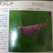 ヒメ日記 2026/09/12 11:55 投稿 小沼千秋 五十路マダム 沼津店(カサブランカグループ)