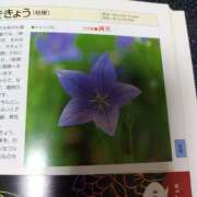 ヒメ日記 2026/09/13 12:27 投稿 小沼千秋 五十路マダム 沼津店(カサブランカグループ)