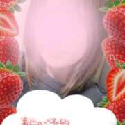 ヒメ日記 2026/04/11 09:33 投稿 まい モアグループ小山人妻花壇