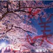 ヒメ日記 2026/03/31 20:10 投稿 ひかり 沼津人妻花壇