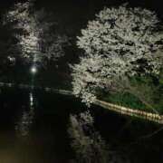 ヒメ日記 2026/04/03 11:03 投稿 くろむ カルテデイズ新宿