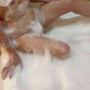 ヒメ日記 2026/03/18 17:23 投稿 かがり 熟女の風俗最終章 国分寺店