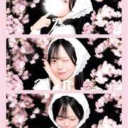 ヒメ日記 2026/04/28 19:14 投稿 佐々木みれい HYPER TOKYO