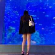 ヒメ日記 2026/04/06 05:00 投稿 あくあ ダイスキ