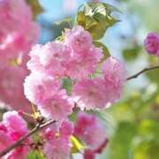 ヒメ日記 2026/04/08 14:21 投稿 くれは NEW GENERATION