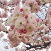 ヒメ日記 2026/04/13 20:03 投稿 くれは NEW GENERATION