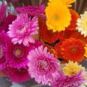 ヒメ日記 2026/04/05 08:56 投稿 きょうか 熟女の風俗最終章 新宿店