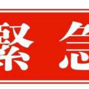 ヒメ日記 2026/03/20 08:17 投稿 烈火兎蘭 熟女パラダイス岐阜羽島店（カサブランカグループ）