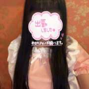 ここ おはよう(˶ฅωฅ˵) しゃんぜりぜ