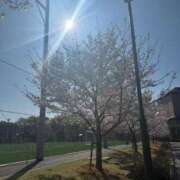 ヒメ日記 2026/04/02 15:20 投稿 りり☆3/20体験です JKサークル