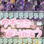 ヒメ日記 2026/03/24 00:16 投稿 かれん 熟女総本店 日本橋ミナミエリア店