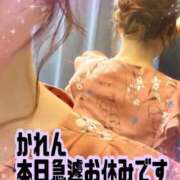 ヒメ日記 2026/06/09 09:46 投稿 かれん 熟女総本店 日本橋ミナミエリア店