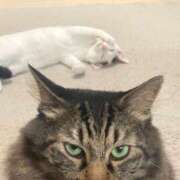 ヒメ日記 2026/04/08 17:49 投稿 らむ 西船人妻花壇