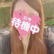 ヒメ日記 2026/03/29 14:20 投稿 こころ 待ちナビ