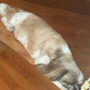 こころ 休日！ 待ちナビ